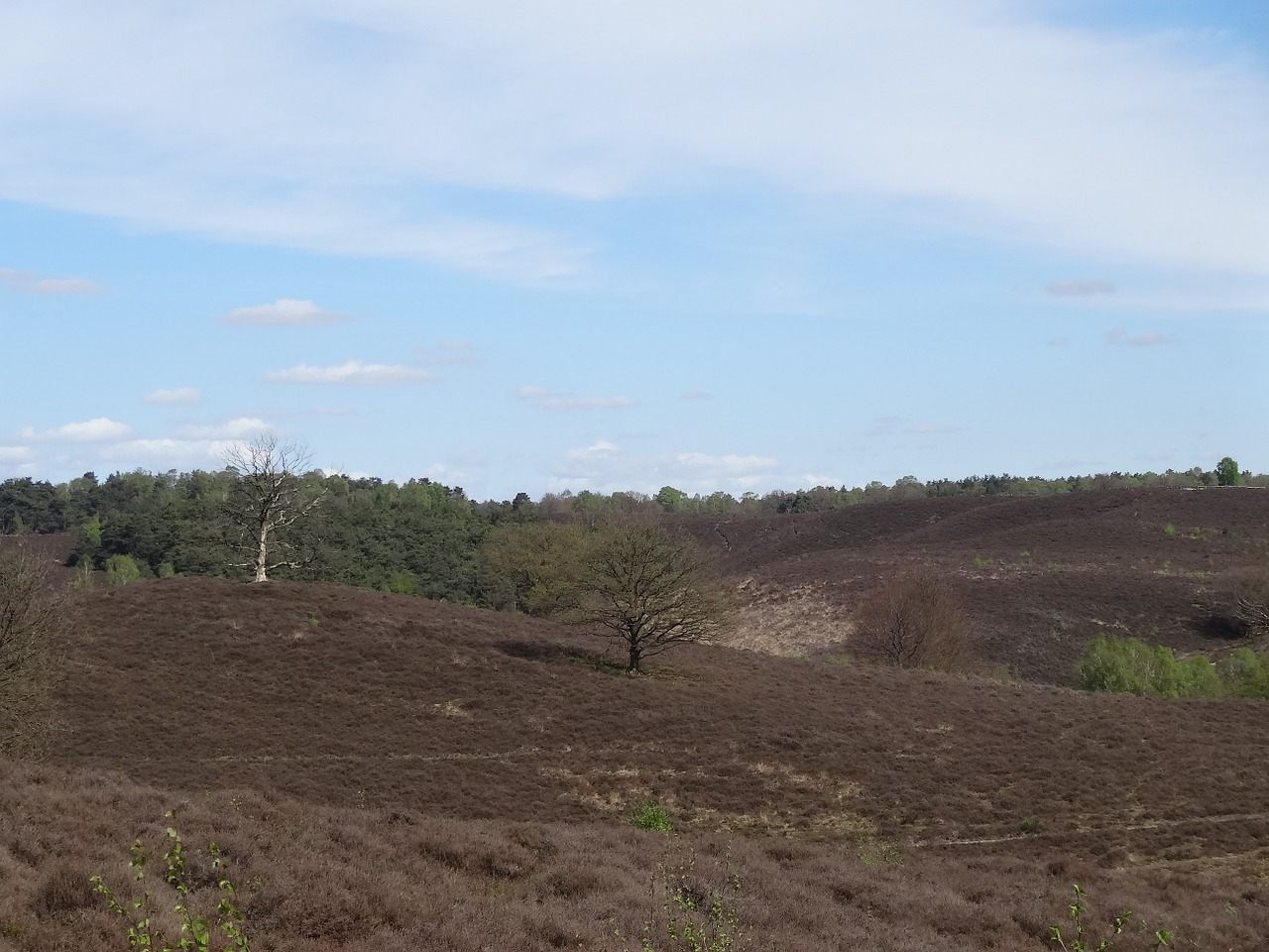 Rheden op de Kaart