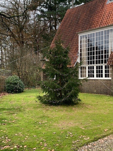Nog meer verlichte kerstbomen in Laag-Soeren