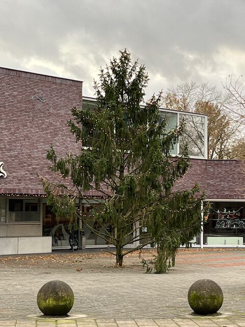 Kerstboom op ´t Sprengenhus voorplein geplaatst.