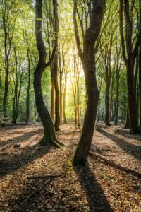 IVN Oost Veluwezoom excursie